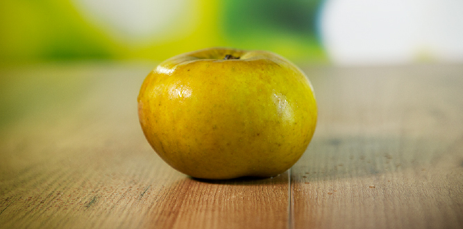 Ma&ccedil;&atilde; Reineta do Canad&aacute;